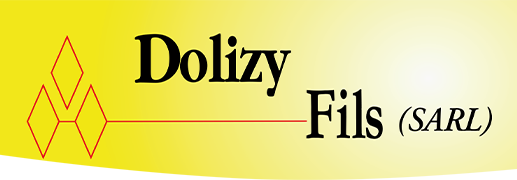 Logo DOLIZY FILS